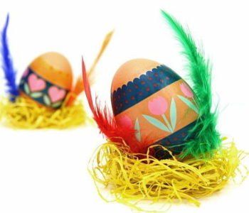 warsztaty dla dzieci