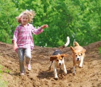 Spotkanie z psami – Mały odpowiedzialny opiekun psa