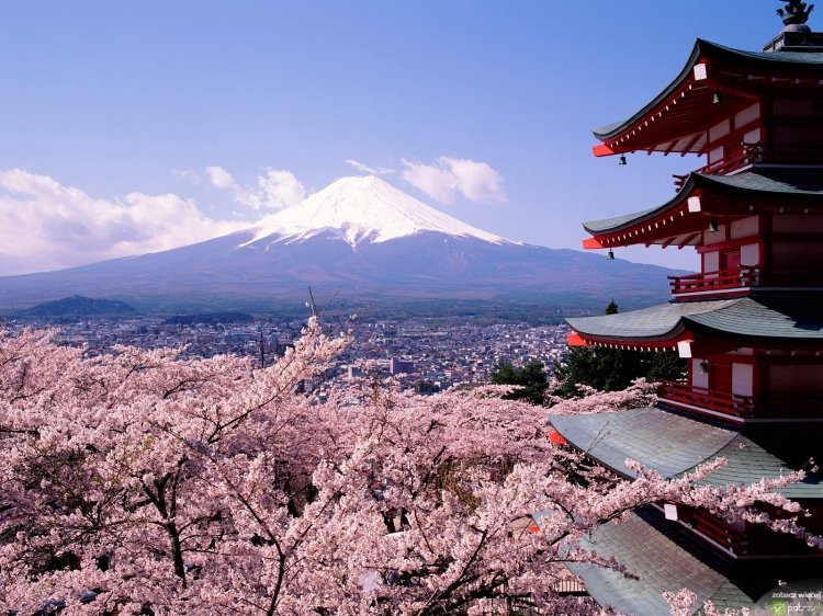 W Kraju Kwitnącej Wiśni – czyli lecimy do Japonii!