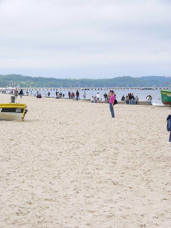 Lato w mieście 2012