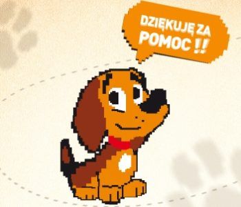 Pomoc zwierzętom ze schroniska