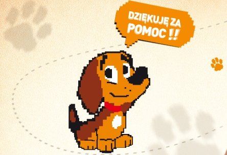 Pomoc zwierzętom ze schroniska