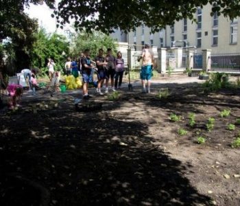 Sąsiedzi – piknik i warsztaty w Muzeum Sztuki