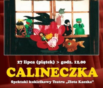 Teatrzyk kukiełkowy Calineczka – Lubin