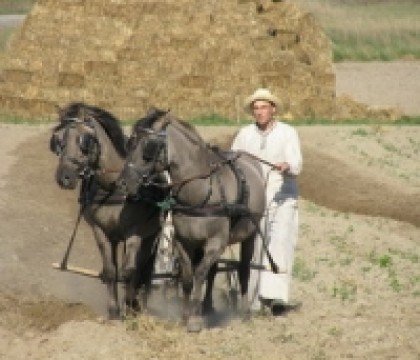 Atrakcje dla Dzieci w Poznaniu i okolicy