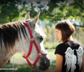 Equimama – warsztaty rozwoju osobistego z końmi dla mam