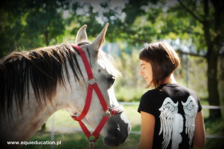 Equimama – warsztaty rozwoju osobistego z końmi dla mam