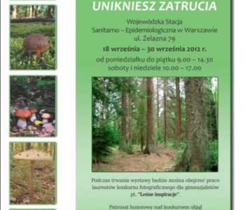 Poznaj grzyby – unikniesz zatrucia