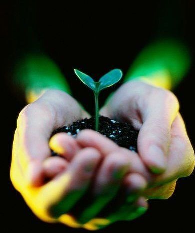 Serca gwiazd dla Kuby