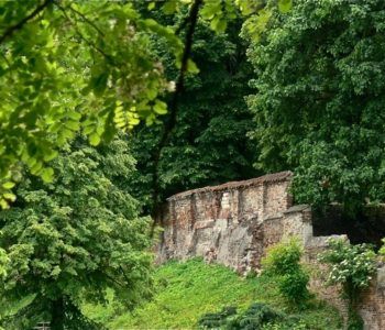 Zielono mi. Spacer dla dzieci po Warszawskiej Skarpie