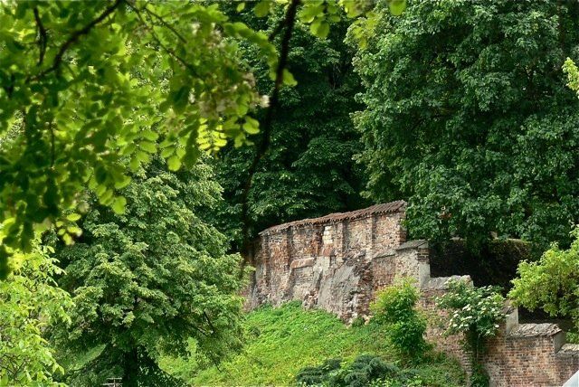 Zielono mi. Spacer dla dzieci po Warszawskiej Skarpie