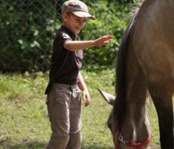 warsztaty dla rodziców i dzieci