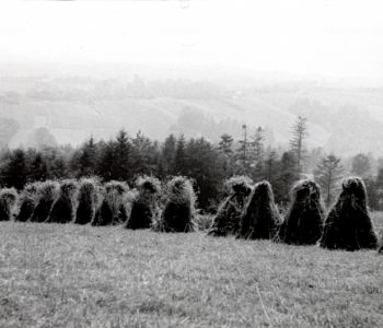 Kazimierz Koczur – wystawa fotografii. Wadowice