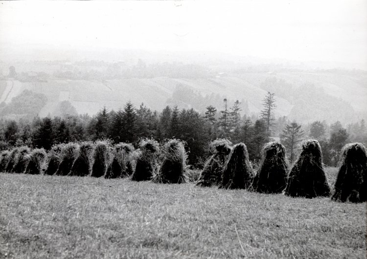 Kazimierz Koczur – wystawa fotografii. Wadowice