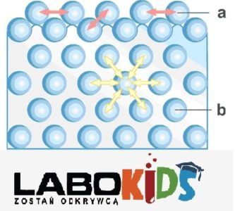 Warsztaty naukowe dla Dzieci w Poznaniu