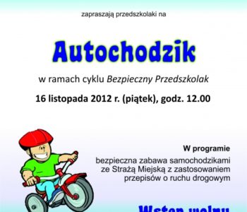 Autochodzik – przepisy ruchu drogowego