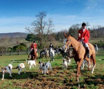 Hubertus w Ośrodku Jeździeckim Włosań