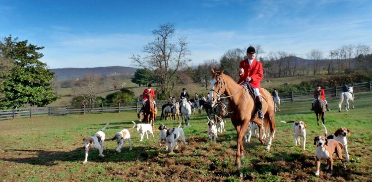 Hubertus w Ośrodku Jeździeckim Włosań