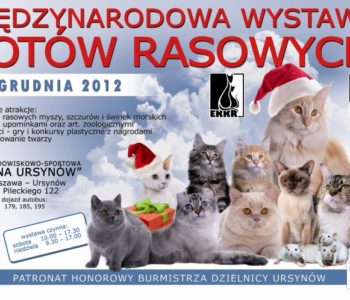 Międzynarodowa Wystawa Kotów Rasowych