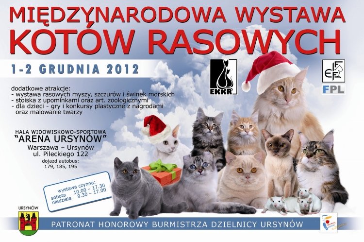 Międzynarodowa Wystawa Kotów Rasowych