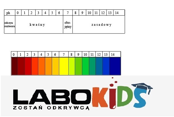 W sobotę 17 listopada – warsztaty LaboSchool!