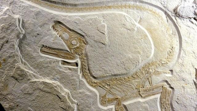 MAli naukowcy – odcinek dinozaury