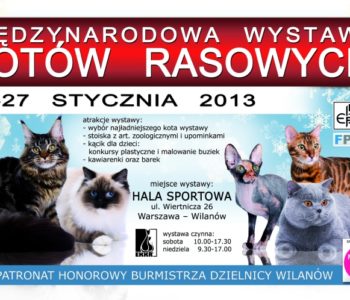 Międzynarodowa Wystawa Kotów Rasowych