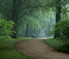 Zimowy Wieczór Światła w Muzeum Łazienki Królewskie!