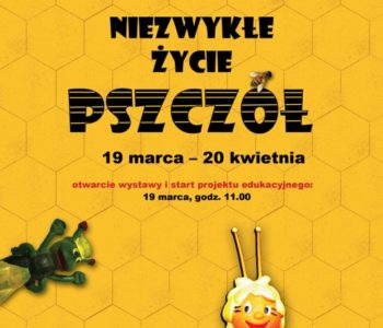 Niezwykłe życie pszczół – Rzeszów