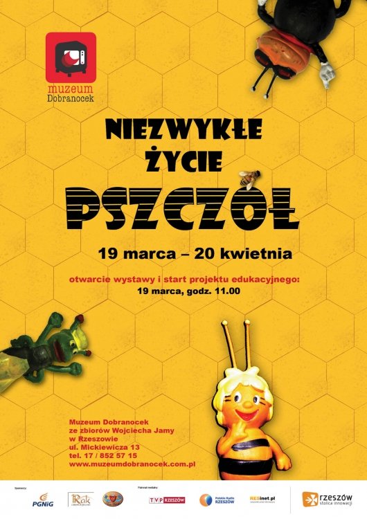 Niezwykłe życie pszczół – Rzeszów