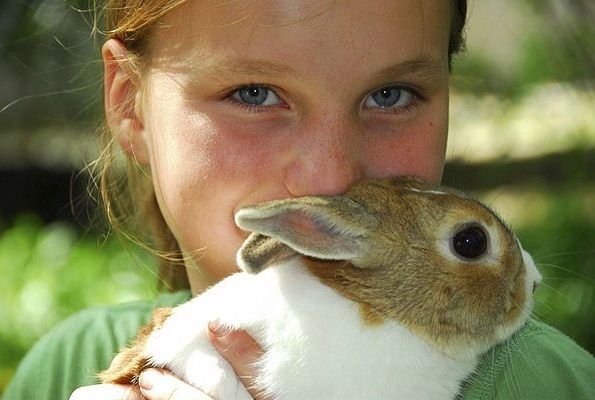 Wielkanocne wariacje w Porcie Łódź Junior