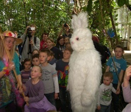 Wiosna dla Dzieci w Poznasniu