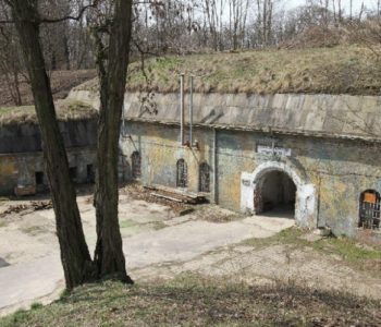 Atrakcje dla rodzin w Poznaniu i okolicy