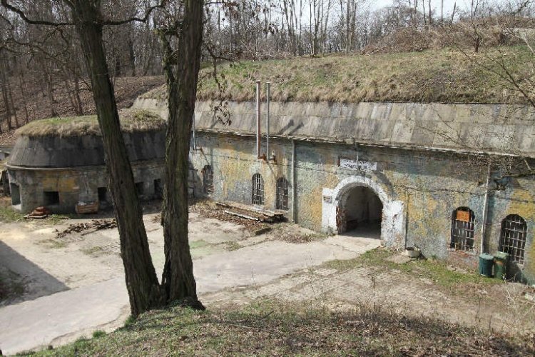 Atrakcje dla rodzin w Poznaniu i okolicy