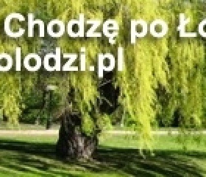 Biegam i Chodzę po Łodzi 2013