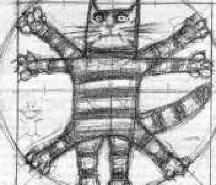 Kot Leonarda W Trakcie Nocy Muzeów