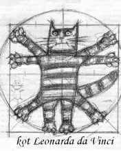 Kot Leonarda W Trakcie Nocy Muzeów