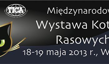 Międzynarodową Wystawę Kotów Rasowych w Warszawie