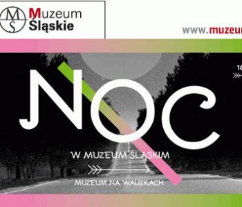 Noc Muzeów 2013. Muzeum Śląskie