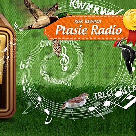 Ptasie radio – warsztaty dziennikarskie