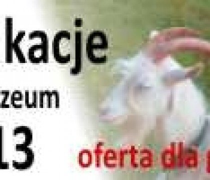 Lato w mieście i za miastem 2013