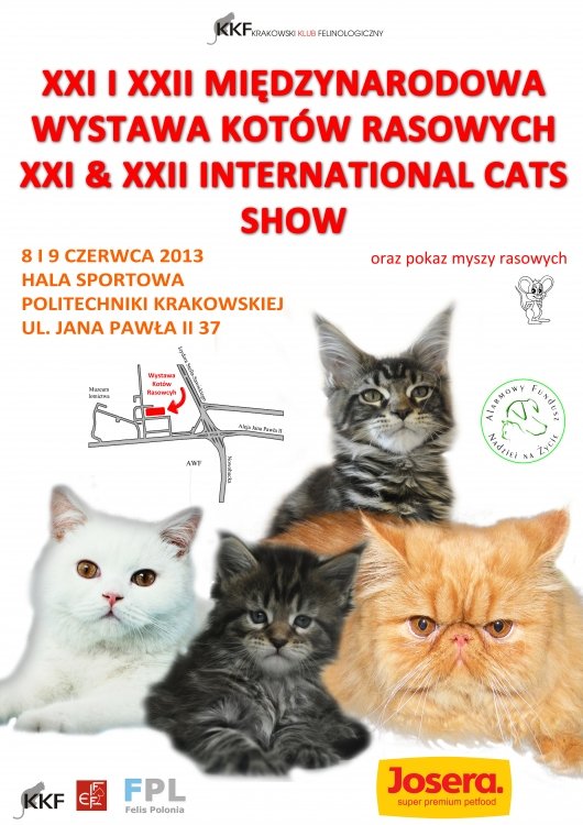Międzynarodowa Wystawa Kotów Rasowych