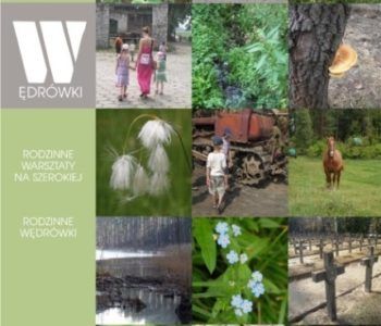 Rodzinne wędrówki – Od elektrowni wodnej po sędziwe drzewa