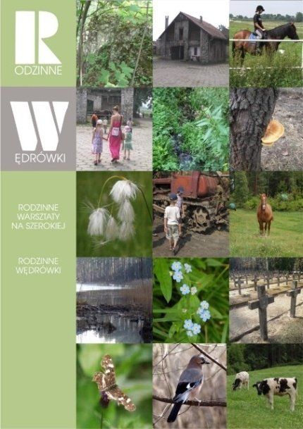 Rodzinne wędrówki – Od elektrowni wodnej po sędziwe drzewa
