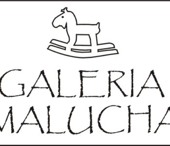 Wakacje z Galerią Malucha