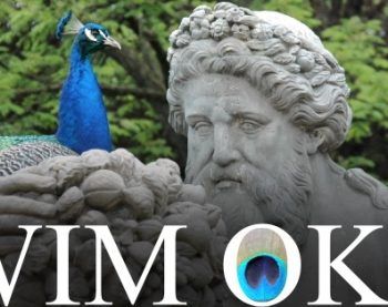 Łazienki pawim oczkiem. Spacer dla dzieci