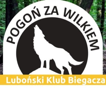 Bieg przez Wielkopolski Park Narodowy