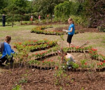 Przez żołądek do serca