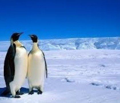 Wyprawa na Antarktydę z MoloKidsCafe