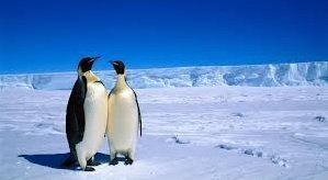 Wyprawa na Antarktydę z MoloKidsCafe